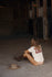files/MaisonNicole_ALICE_LEVEQUE-130.jpg